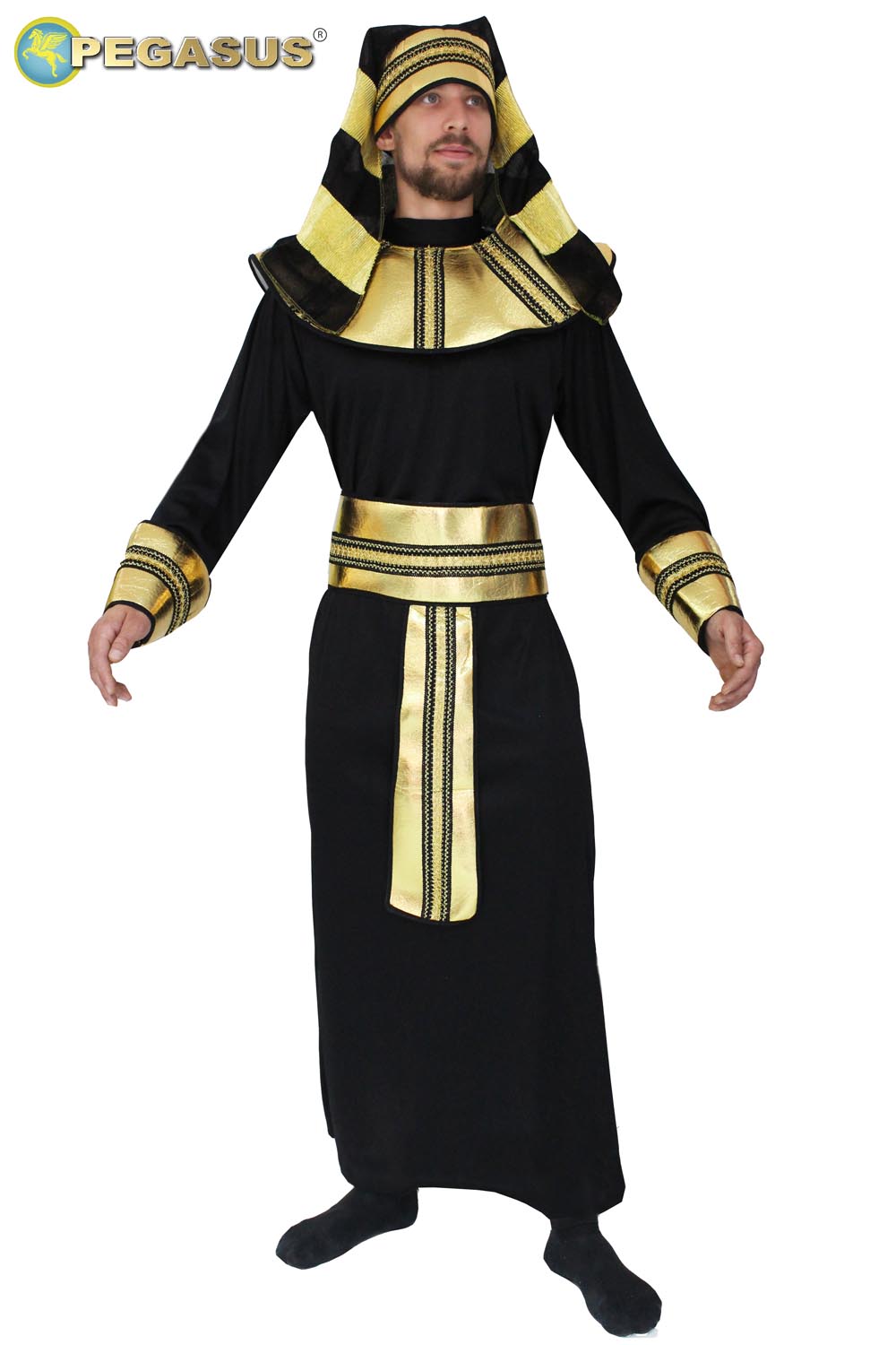 RAMSES